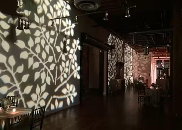 Indian, Pakistani & Punjabi wedding DJ and live dhol in Eugene, OR, Texture pattern wedding lighting adding ambiance to South Asian reception venue